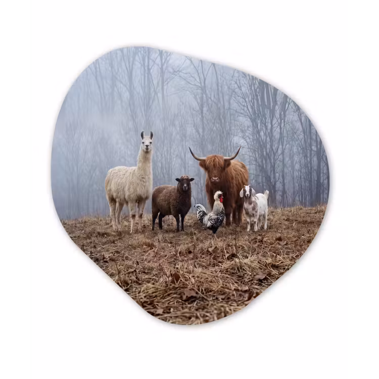 Boerderijdieren - Groep - Mist - Natuur - Rustiek Wandcirkel Organisch Aluminium middel -3d