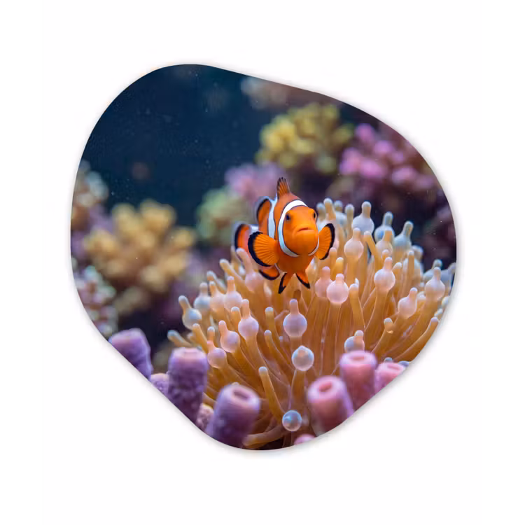 Vis - Koraal - Onderwater - Oranje - Dieren Wandcirkel Organisch Aluminium middel -3d