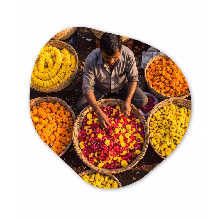 Organic painting - Aluminum -. Flowers - Market - Colorful - Bloemen - Markt - Kleurrijk Wandcirkel Organisch Aluminium middel