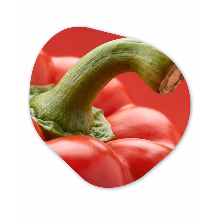 Organic painting - Aluminum -. Food - Bell Pepper - Red - Eten - Paprika - Rood Wandcirkel Organisch Aluminium middel