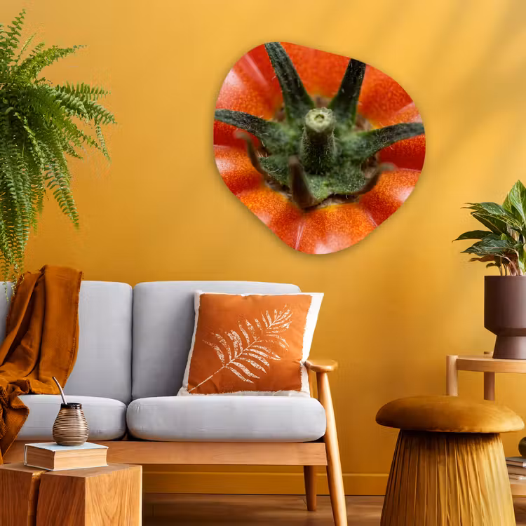 Organic painting - Aluminum -. Food - Tomato - Red - Eten - Tomaat - Rood Wandcirkel Organisch Aluminium middel