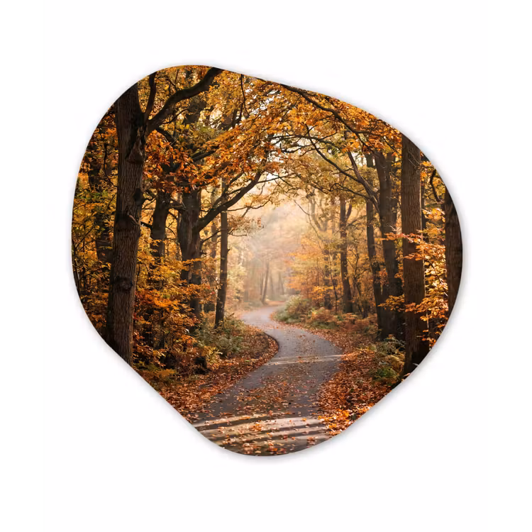 Bospad - Herfstbos - Bladeren - Oranje - Nostalgisch Wandcirkel Organisch Aluminium middel -3d