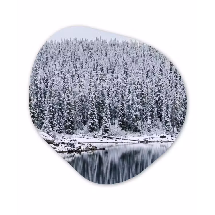 Bos - Reflectie - Meer - Winter - Serene Wandcirkel Organisch Aluminium middel -3d