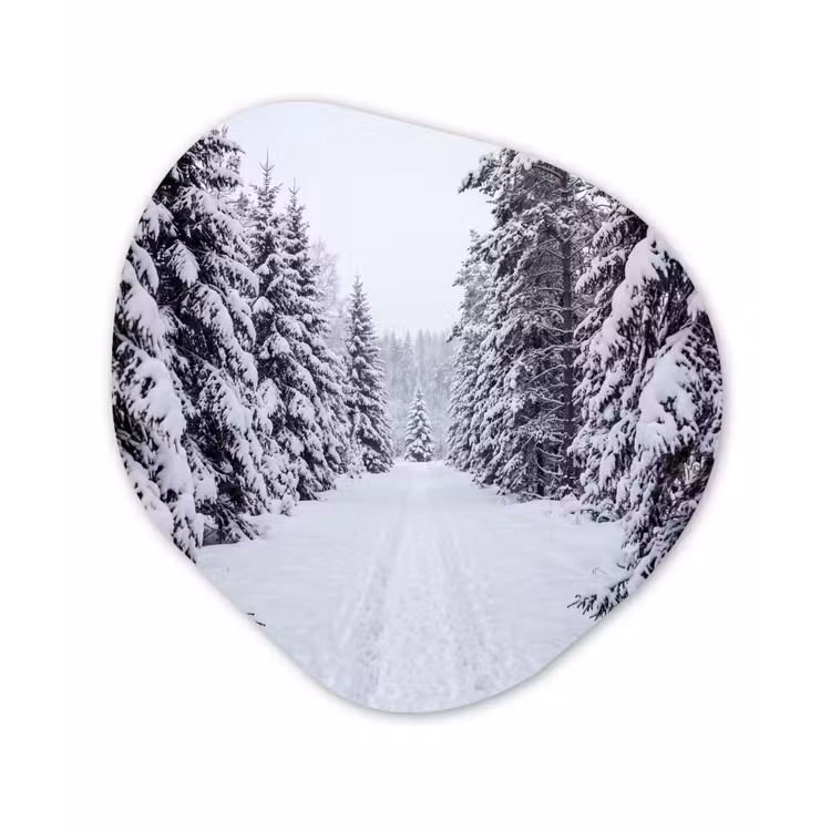 Bos - Winter - Sneeuw - Pad - Natuur Wandcirkel Organisch Aluminium middel -3d