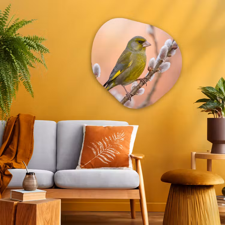 Groenling - Katjes - Lente - Natuur - Zacht Wandcirkel Organisch Aluminium middel -sfeer4
