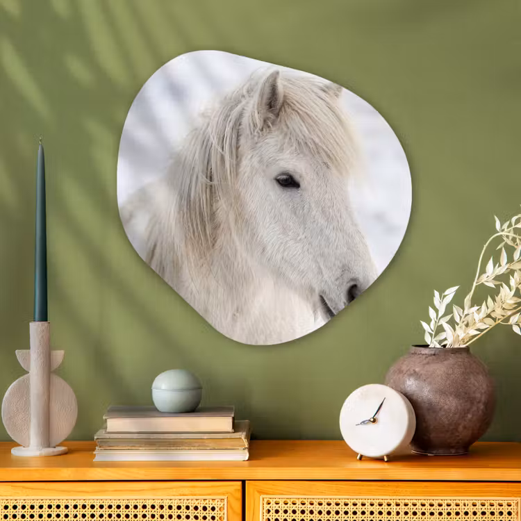 Paard - Kop - Winter - Dieren - Wit Wandcirkel Organisch Aluminium middel -sfeer2