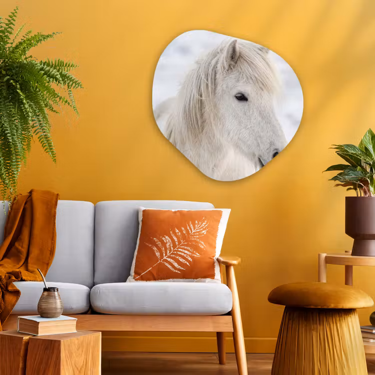 Paard - Kop - Winter - Dieren - Wit Wandcirkel Organisch Aluminium middel -sfeer4