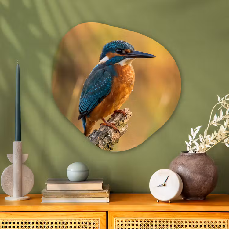 IJsvogel - Tak - Water - Kleurrijk - Levendig Wandcirkel Organisch Aluminium middel -sfeer2
