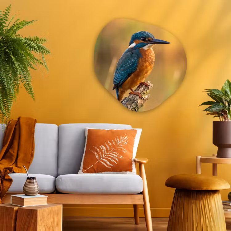 IJsvogel - Tak - Water - Kleurrijk - Levendig Wandcirkel Organisch Aluminium middel -sfeer4