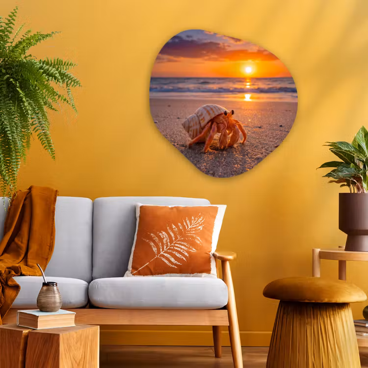 Kreeft - Strand - Natuur - Zonsondergang - Oranje Wandcirkel Organisch Aluminium middel -sfeer4