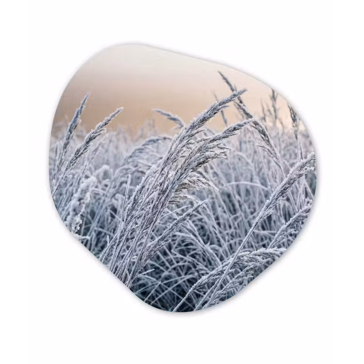 Rijp - Gras - Kristallen - Winter - Minimalistisch Wandcirkel Organisch Aluminium middel -3d