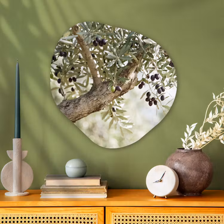 Organic painting - Aluminum -. Olive tree - branch - green - Olijfboom - tak - groen Wandcirkel Organisch Aluminium middel