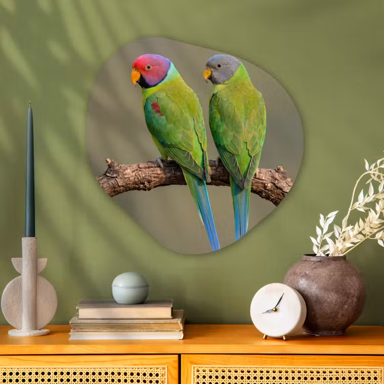 Papagaai - Tak - Natuur - Kleurrijk Wandcirkel Organisch Aluminium middel -sfeer2