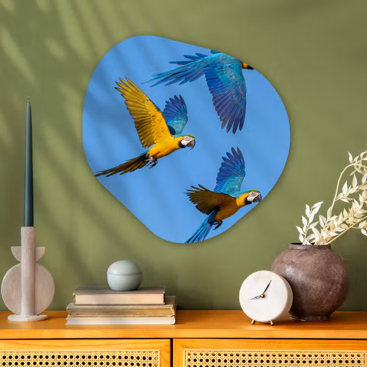 Papagaai - Vliegen - Blauw - Geel Wandcirkel Organisch Aluminium middel -sfeer2
