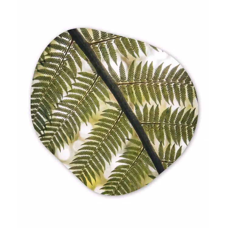 Plant - Blad - Natuur - Groen - Detail Wandcirkel Organisch Aluminium middel -3d