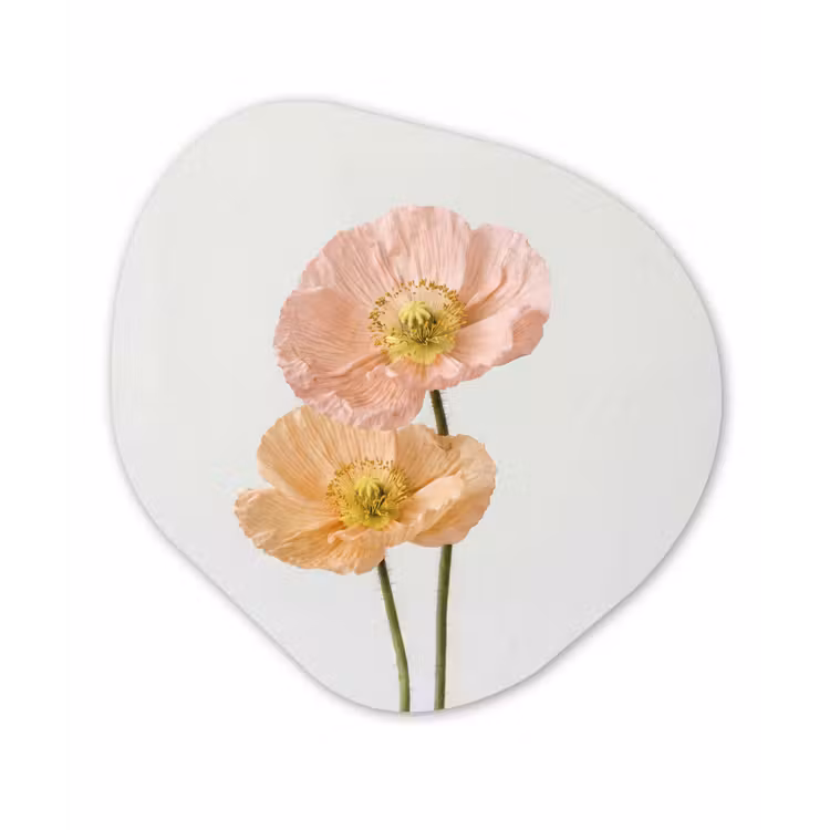 Papavers - Botanisch - Roze Wandcirkel Organisch Aluminium middel -3d