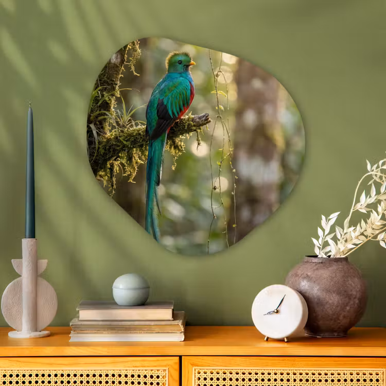 Quetzal - Jungle - Natuur - Groen Wandcirkel Organisch Aluminium middel -sfeer2