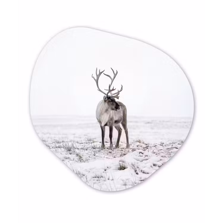 Rendier - Gewei - Sneeuw - Winter Wandcirkel Organisch Aluminium middel -3d