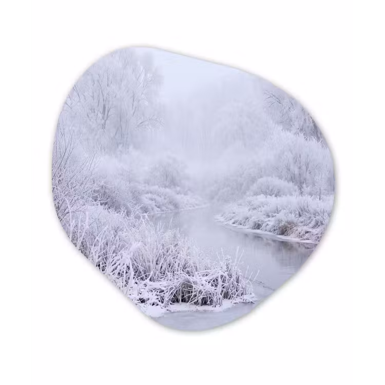 Rivier - Sneeuw - Bos - Winter - Schilderachtig Wandcirkel Organisch Aluminium middel -3d