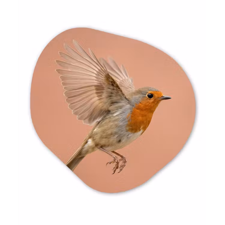 Roodborst - Natuur - Roze Wandcirkel Organisch Aluminium middel -3d