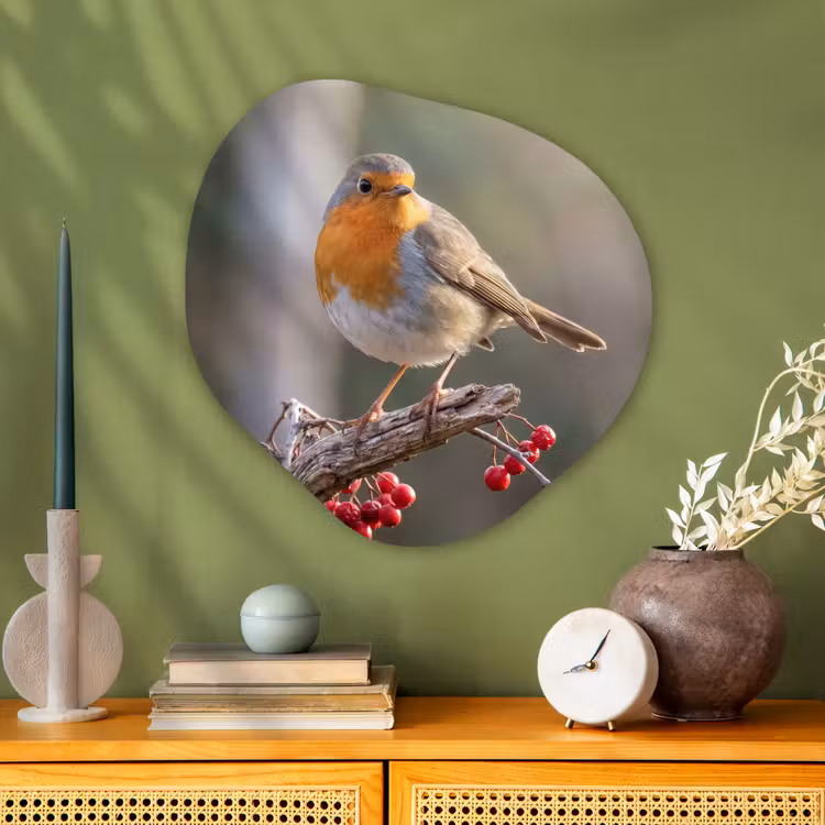 Roodborst - Tak - Bessen - Natuur Wandcirkel Organisch Aluminium middel -sfeer2