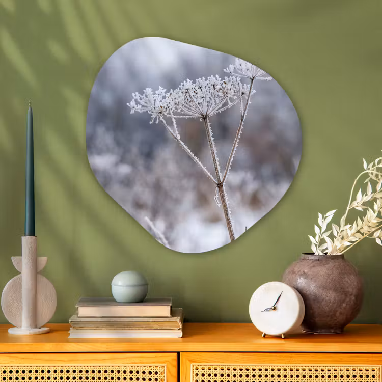 Schermbloem - Rijp - Kristallen - Winter - Delicaat Wandcirkel Organisch Aluminium middel -sfeer2