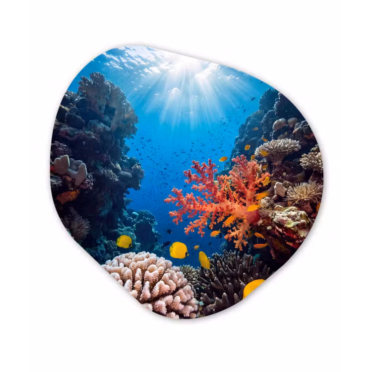 Zee - Koraalrif - Natuur - Levendig - Blauw Wandcirkel Organisch Aluminium middel -3d