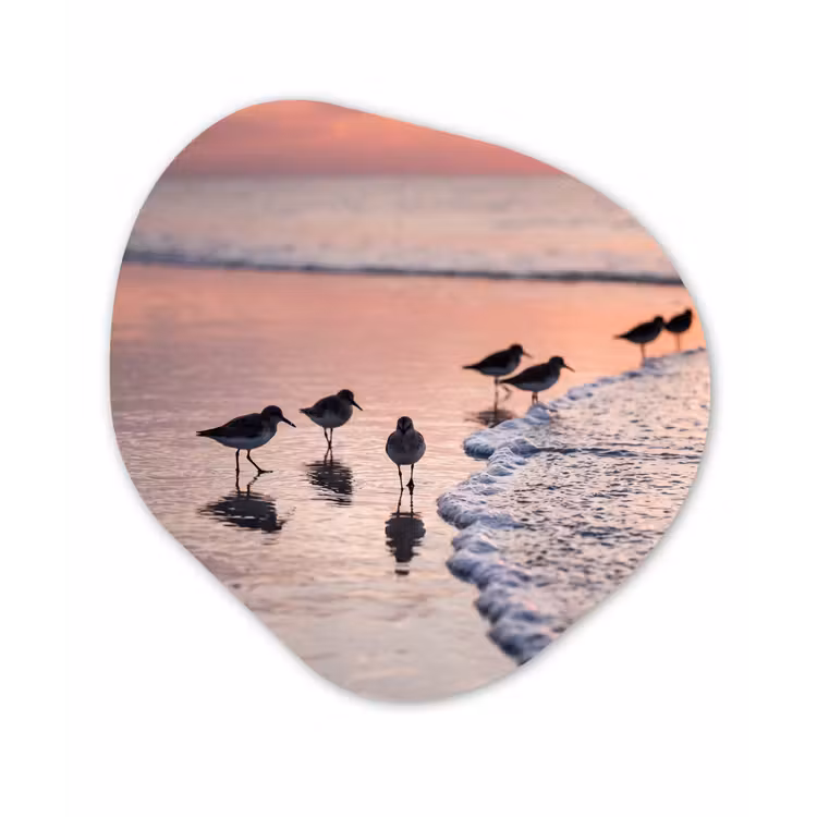 Meeuwen - Strand - Zee - Roze Wandcirkel Organisch Aluminium middel -3d
