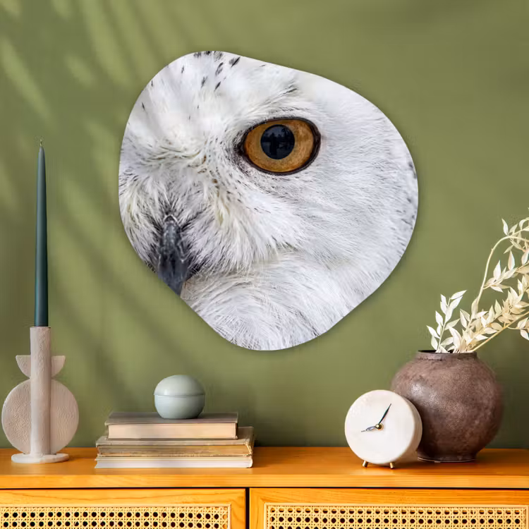 Sneeuwuil - Oog - Wildlife - Wit Wandcirkel Organisch Aluminium middel -sfeer2