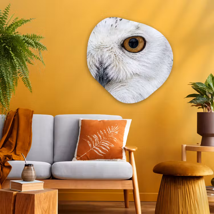 Sneeuwuil - Oog - Wildlife - Wit Wandcirkel Organisch Aluminium middel -sfeer4
