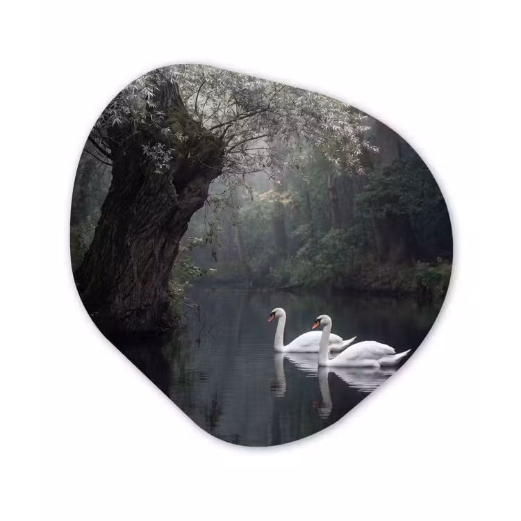 Zwanen - Rivier - Bos Wandcirkel Organisch Aluminium middel -3d