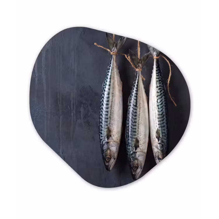 Organic painting - Aluminum -. Three Fish - Rope - Drie vissen - Touw Wandcirkel Organisch Aluminium middel