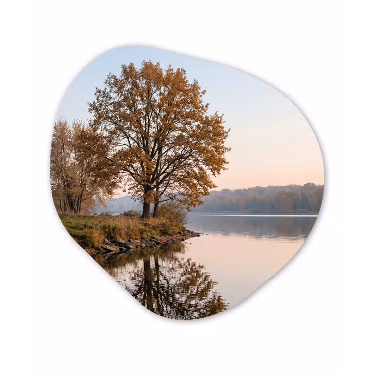 Bomen - Reflectie - Water - Zonsopgang - Serene Wandcirkel Organisch Aluminium middel -3d