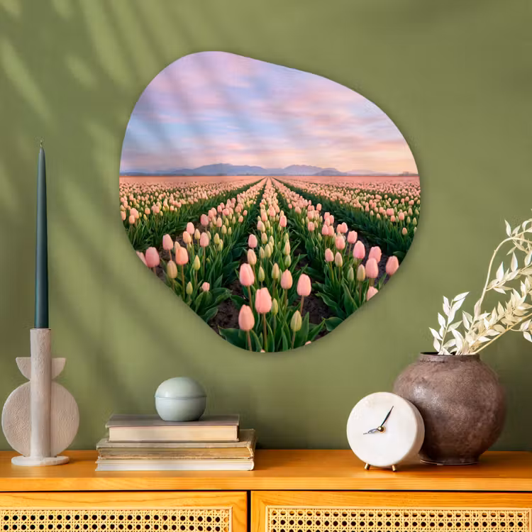 Tulpen - Landschap - Roze Wandcirkel Organisch Aluminium middel -sfeer2