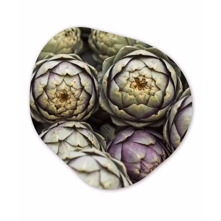 Organic painting - Aluminum -. Vegetables - Fresh - Food - Groenten - Vers - Eten Wandcirkel Organisch Aluminium middel
