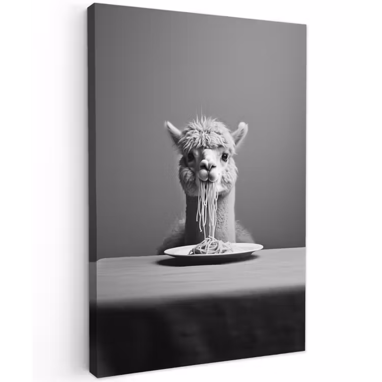 Alpaca - Pasta - Zwart - Wit - Grappig - Dieren Tuinposter op houten frame 2 cm dik klein -3d