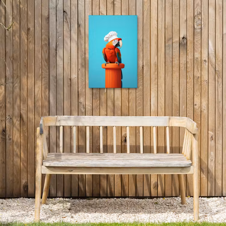 Ara - Koksmuts - Sokkel - Grappig Tuinposter op houten frame 2 cm dik klein -sfeer4