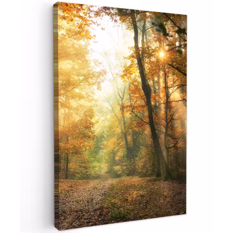 Herfstbos in gouden zonlicht Tuinposter op houten frame 2 cm dik klein -3d