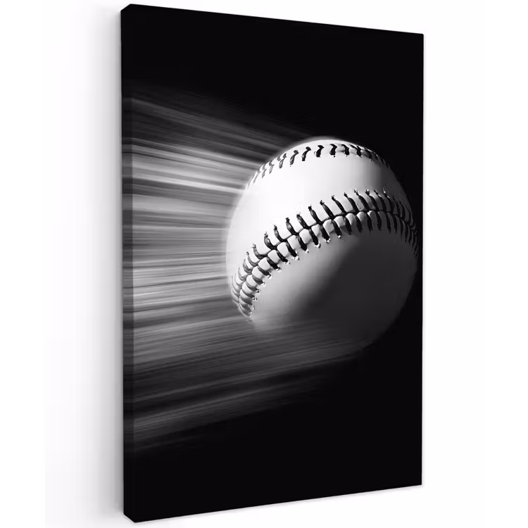 Honkbal - Wit - Vliegt Tuinposter op houten frame 2 cm dik klein -3d