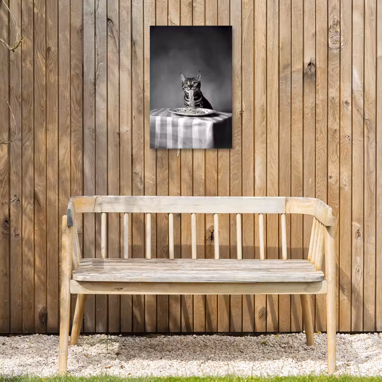 Bengaal - Kat - Tafelkleed - Zwart - Wit - Dier Tuinposter op houten frame 2 cm dik klein -sfeer4