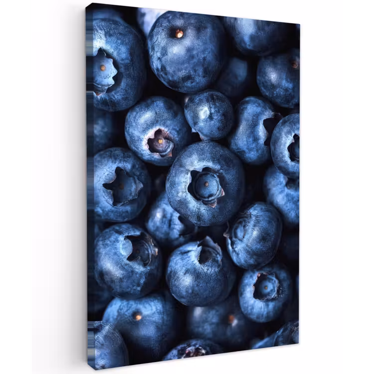 Bessen - Blauw - Fruit Tuinposter op houten frame 2 cm dik klein -3d