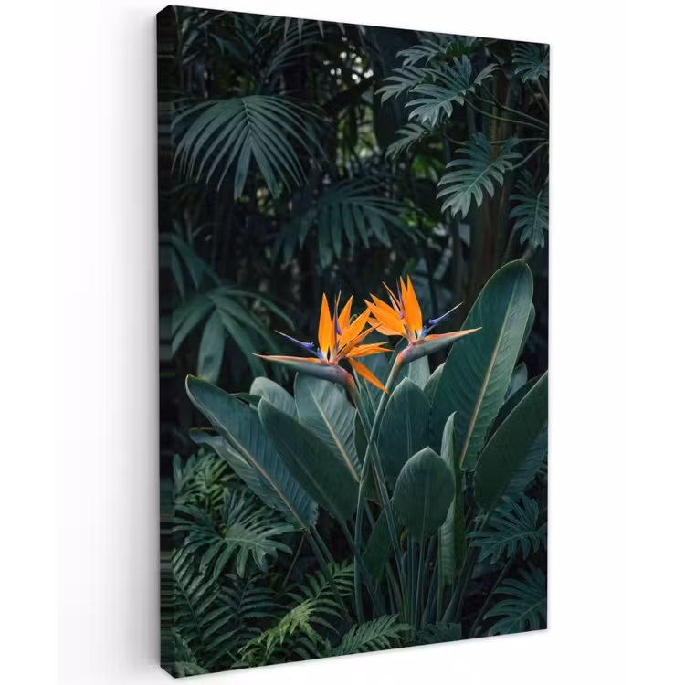 Paradijsvogel - Bloem - Exotisch Tuinposter op houten frame 2 cm dik klein -3d