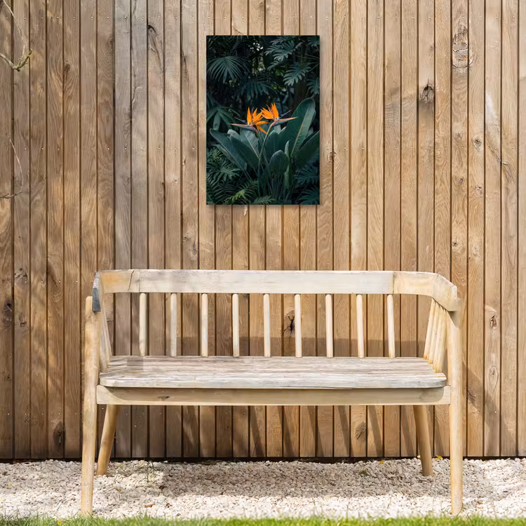 Paradijsvogel - Bloem - Exotisch Tuinposter op houten frame 2 cm dik klein -sfeer4