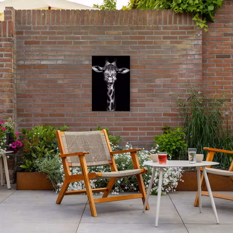 Zwart-wit portret van een giraffe Tuinposter op houten frame 2 cm dik klein -sfeer3