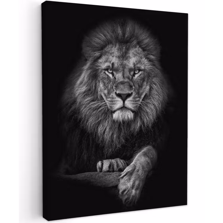 Zwart-wit portret van een leeuw Tuinposter op houten frame 2 cm dik klein -3d