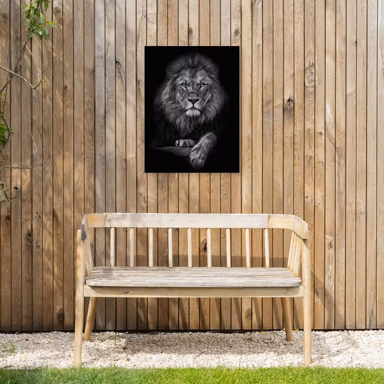 Zwart-wit portret van een leeuw Tuinposter op houten frame 2 cm dik klein -sfeer4