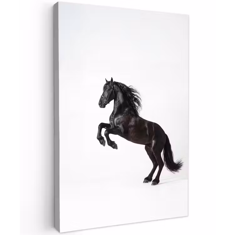 Zwart - Paard - Portret Tuinposter op houten frame 2 cm dik klein -3d