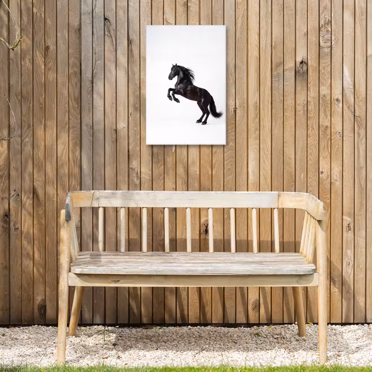 Zwart - Paard - Portret Tuinposter op houten frame 2 cm dik klein -sfeer4