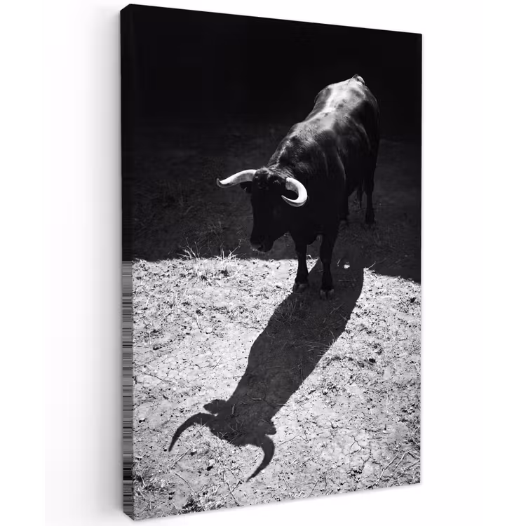 Stier - Schaduw - Dieren - Contrast - Zwart-wit Tuinposter op houten frame 2 cm dik klein -3d