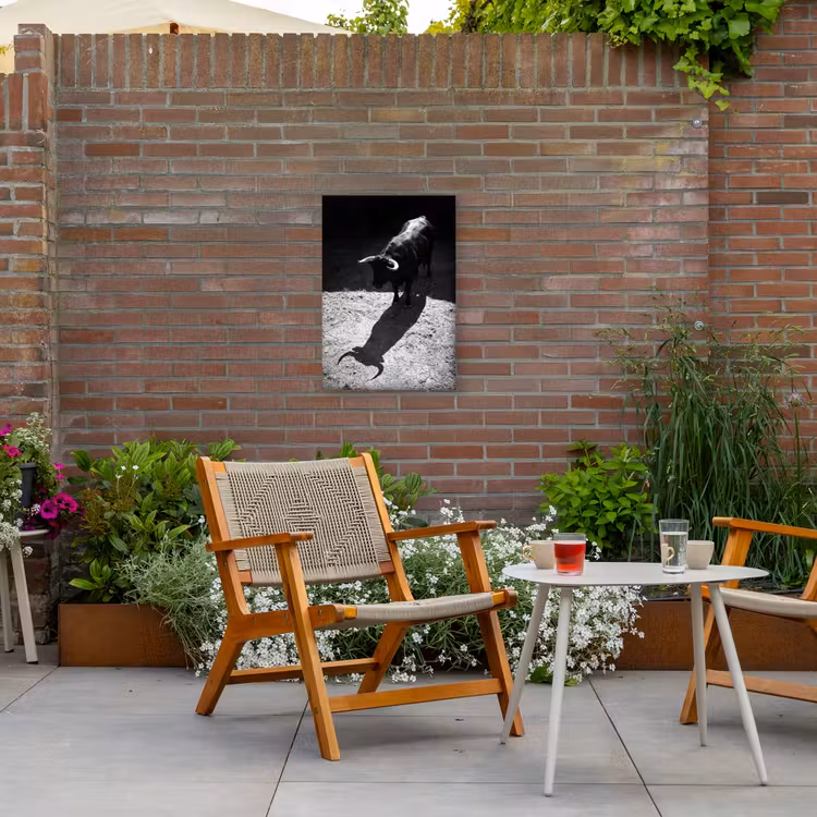 Stier - Schaduw - Dieren - Contrast - Zwart-wit Tuinposter op houten frame 2 cm dik klein -sfeer3
